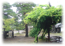 �������i�㋟�{�� �[�����C���[�W�ʐ^